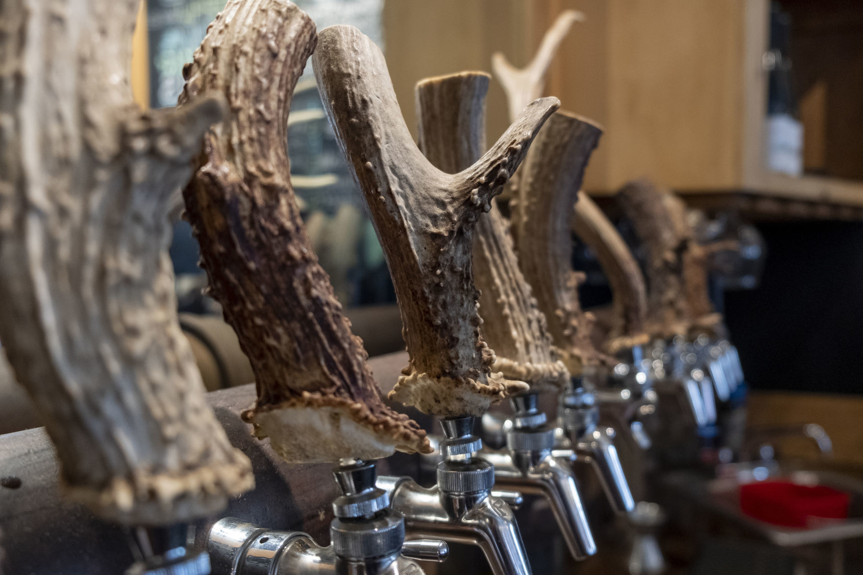 Magic Valley Brewing